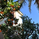 Lodi