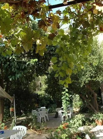 Lodi