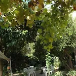 Lodi